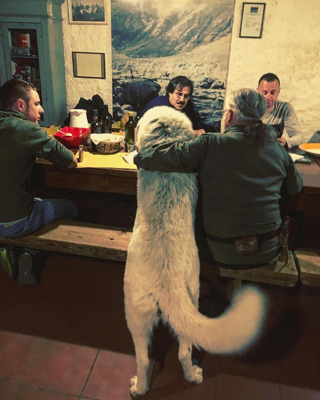 Centro Trekking A Cavallo Monte Brugiana Guest House Маса Екстериор снимка