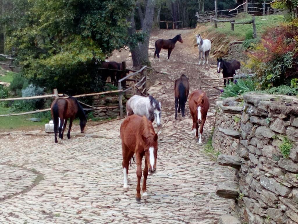 Centro Trekking A Cavallo Monte Brugiana Guest House Маса Екстериор снимка